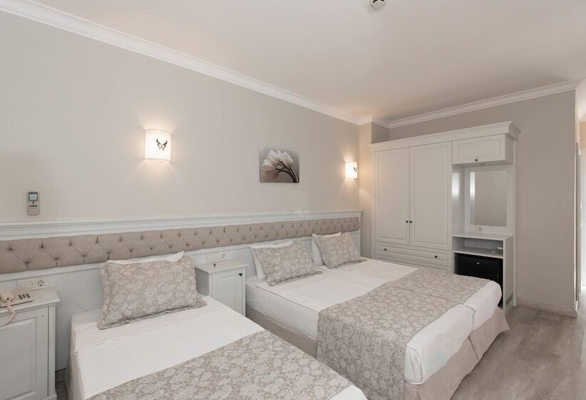 스탠다드 룸, Hawaii