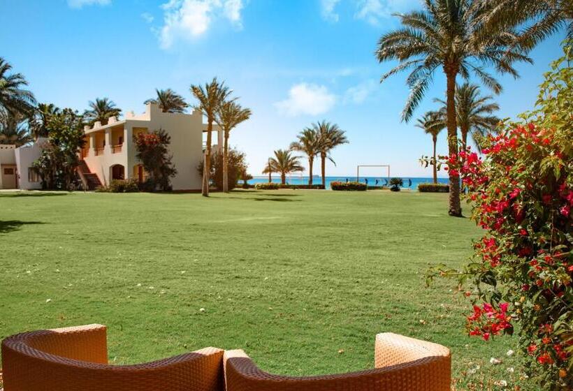 اتاق سوپریور با چشمانداز دریا, Dahab Lagoon Club & Resort Ex Tirana Dahab