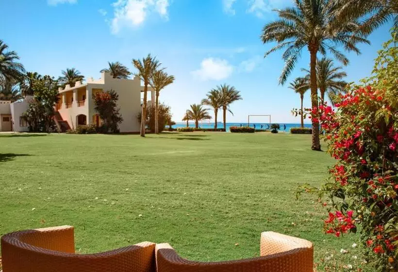 اتاق سوپریور با چشم‌انداز دریا, Dahab Lagoon Club & Resort Ex Tirana Dahab