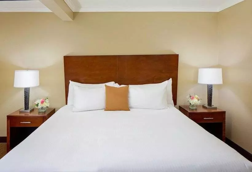 Svit, Best Western Bennington