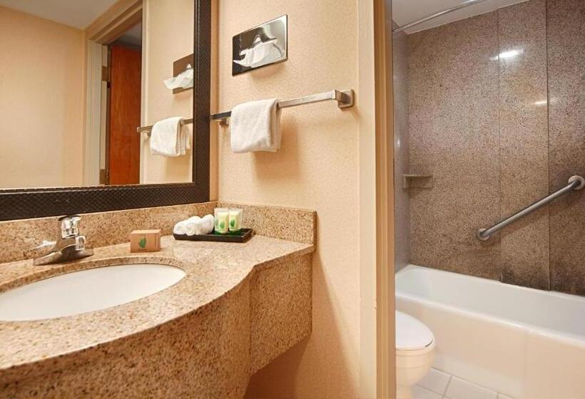 스탠다드 룸 킹사이즈 침대, Best Western Bennington
