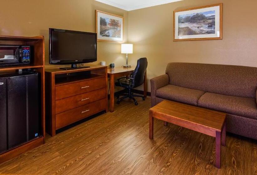 스탠다드 룸 킹사이즈 침대, Best Western Bennington
