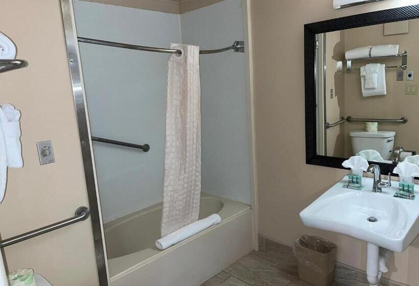 身障者適用スタンダードルーム, Best Western Bennington