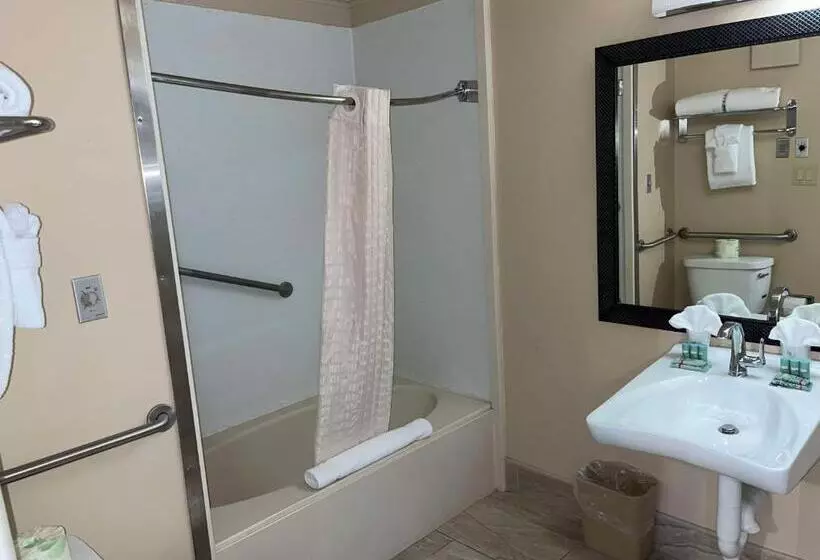 身障者適用スタンダードルーム, Best Western Bennington