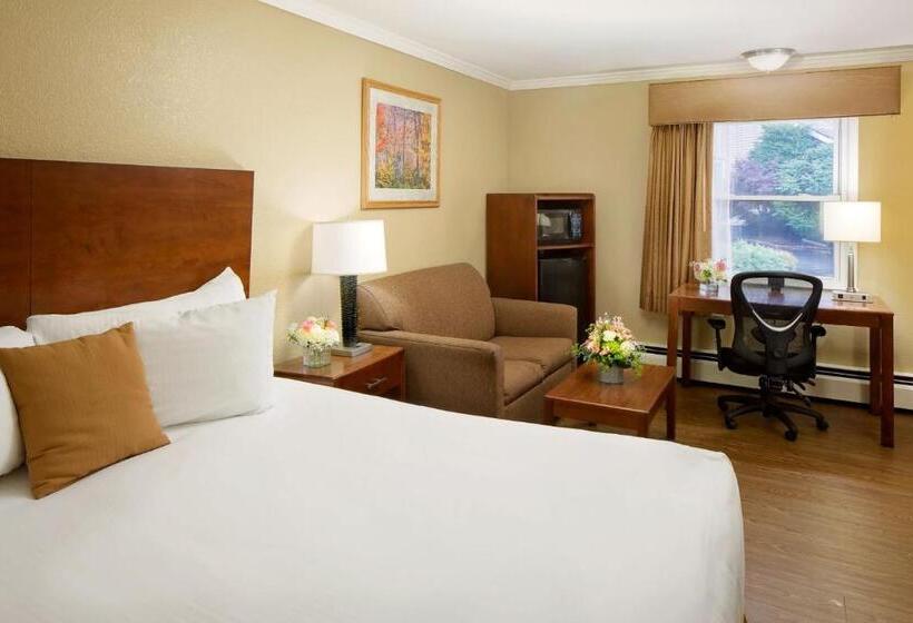 キングサイズベッドのスタンダードルーム, Best Western Bennington