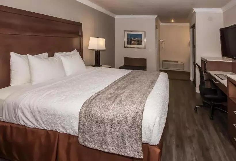 اتاق استاندارد با تخت بزرگ, Best Western Bishop Lodge