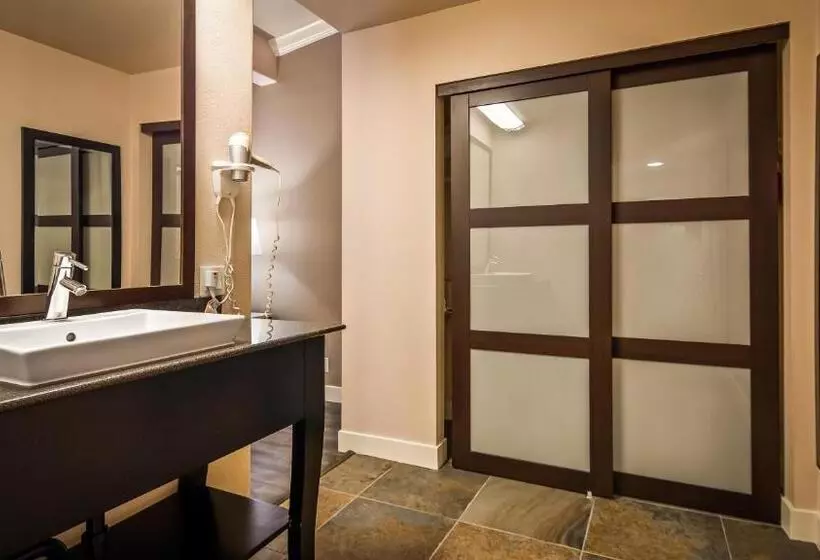 اتاق استاندارد با تخت بزرگ, Best Western Bishop Lodge