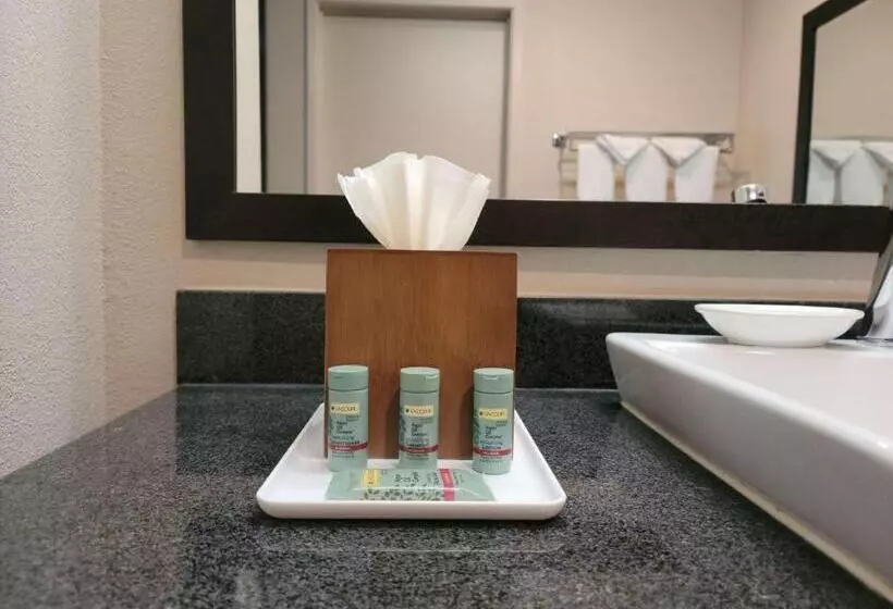 اتاق استاندارد با تخت بزرگ, Best Western Bishop Lodge