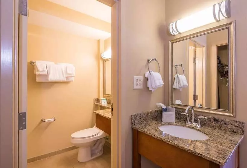２ダブルベッドのスタンダードルーム, Best Western Charleston Inn