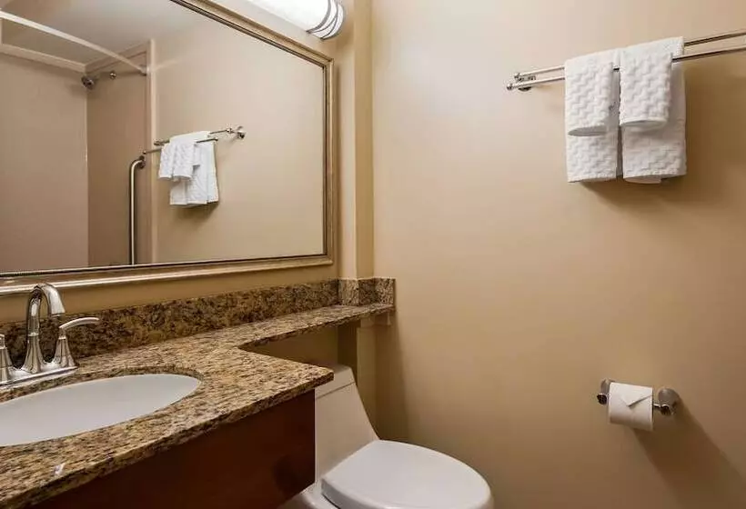 ２ダブルベッドのスタンダードルーム, Best Western Charleston Inn