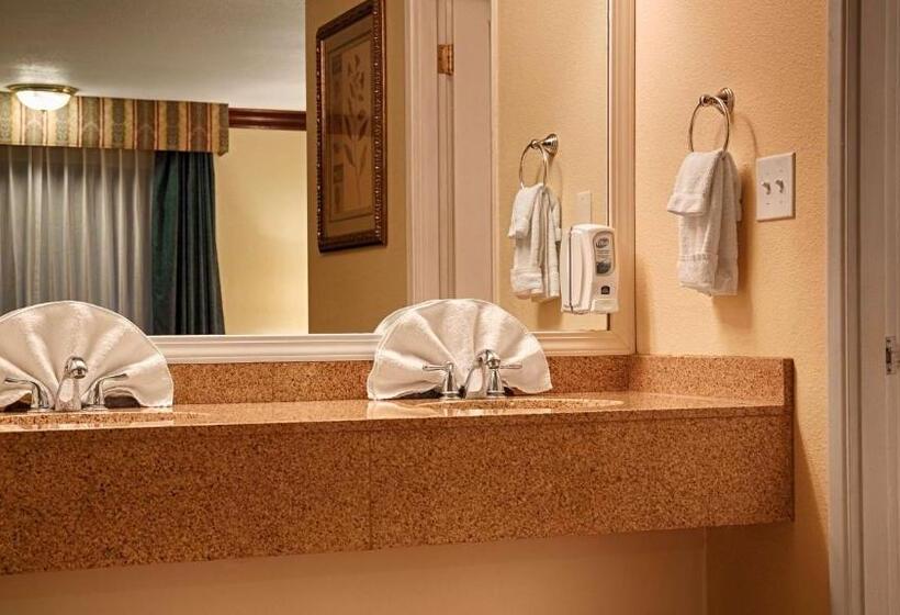 غرفة قياسية سرير كينج, Best Western Garden Villa Inn