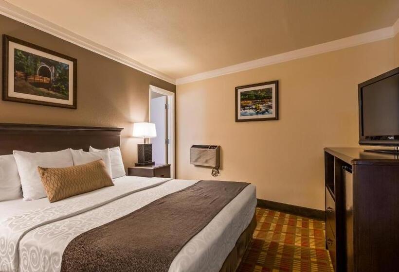 Стандартный Номер Кровать Кинг, Best Western Garden Villa Inn