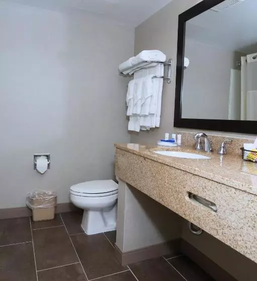 キングサイズベッドのスタンダードルーム, Best Western La Plata Inn