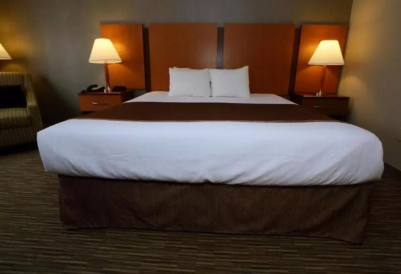 キングサイズベッドのスタンダードルーム, Best Western La Plata Inn