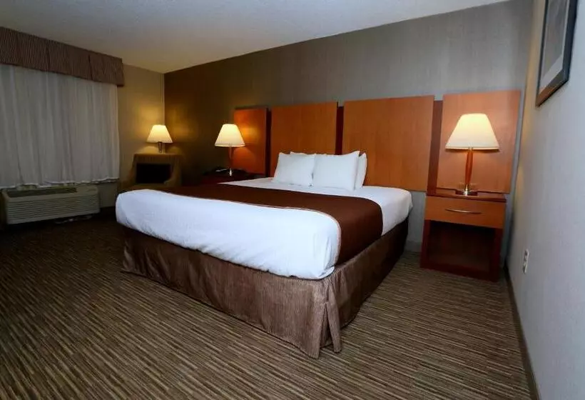 キングサイズベッドのスタンダードルーム, Best Western La Plata Inn