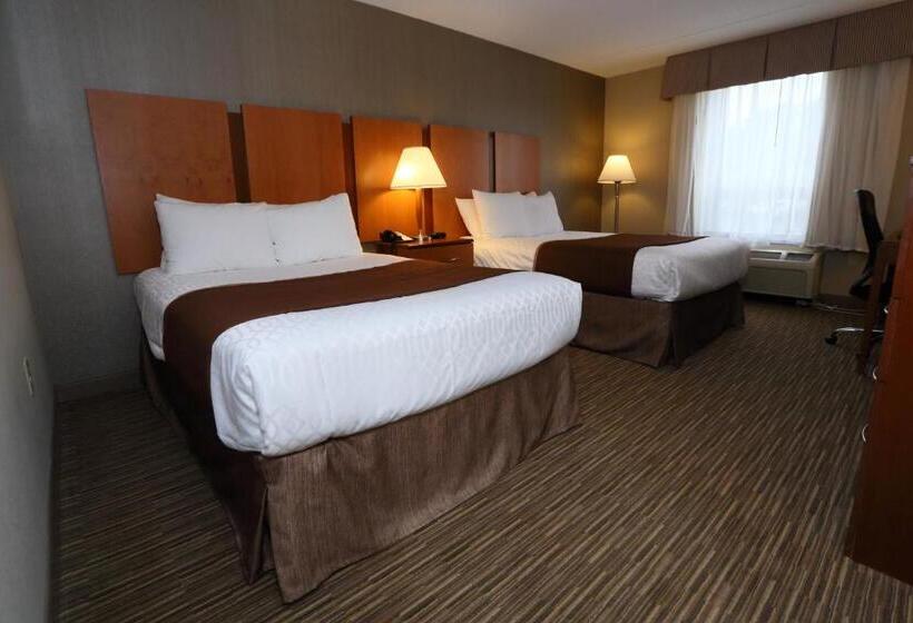 غرفه قياسيه سريرين مزدوجين, Best Western La Plata Inn