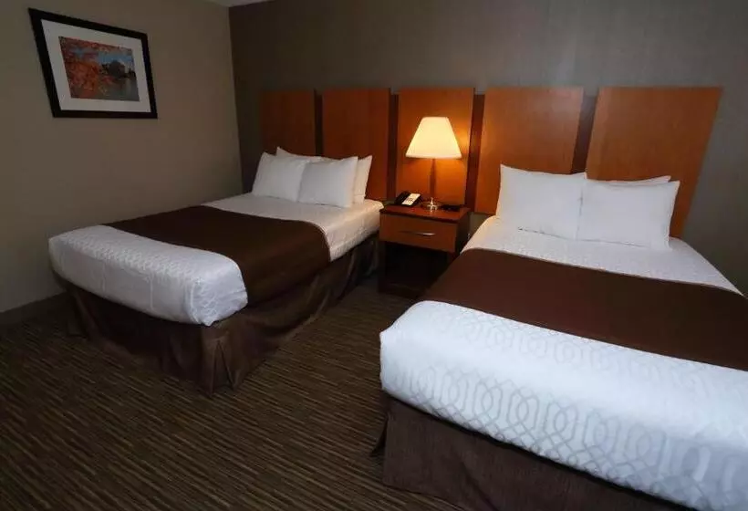 ２ダブルベッドのスタンダードルーム, Best Western La Plata Inn