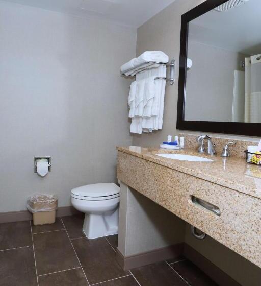 غرفة قياسية سرير كينج, Best Western La Plata Inn