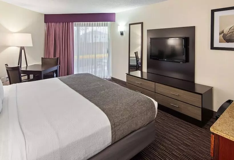 ダブルベッドスタンダードルーム, Best Western Oak Manor