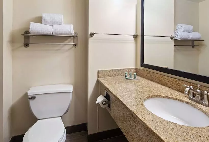 Standard-huone 2 Parivuodetta, Best Western Oak Manor