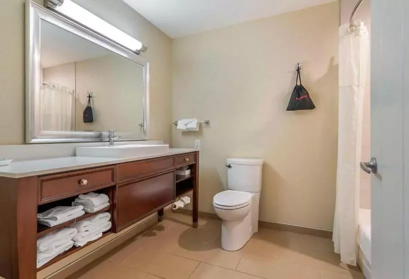 キングサイズベッドのスタンダードルーム, Best Western On The River