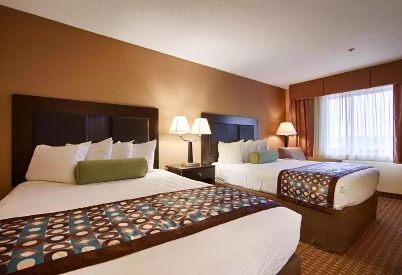 身障者適用クイーンサイズベッドルーム, Best Western On The River