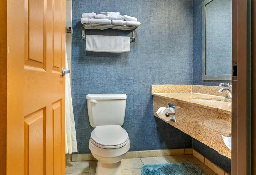 Номер Стандарт, Best Western On The River