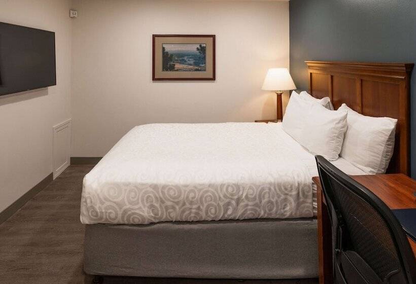 חדר סטנדרט שתי מיטות זוגיות, Best Western Plus Clocktower Inn