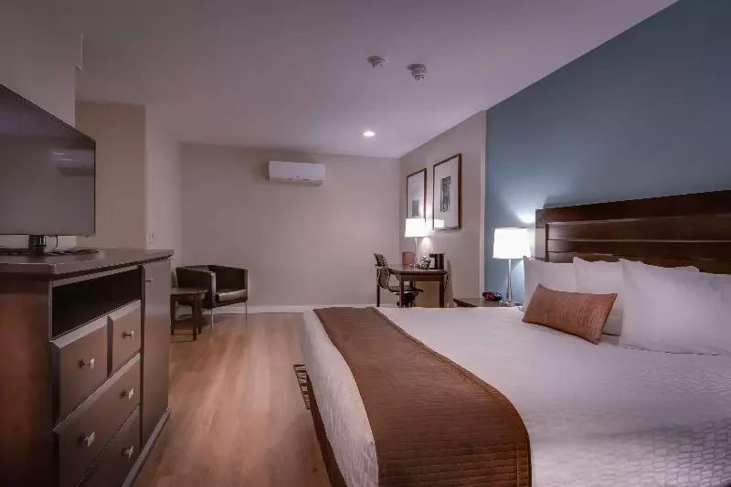 اتاق استاندارد با تخت بزرگ, Best Western At Ventura Pier