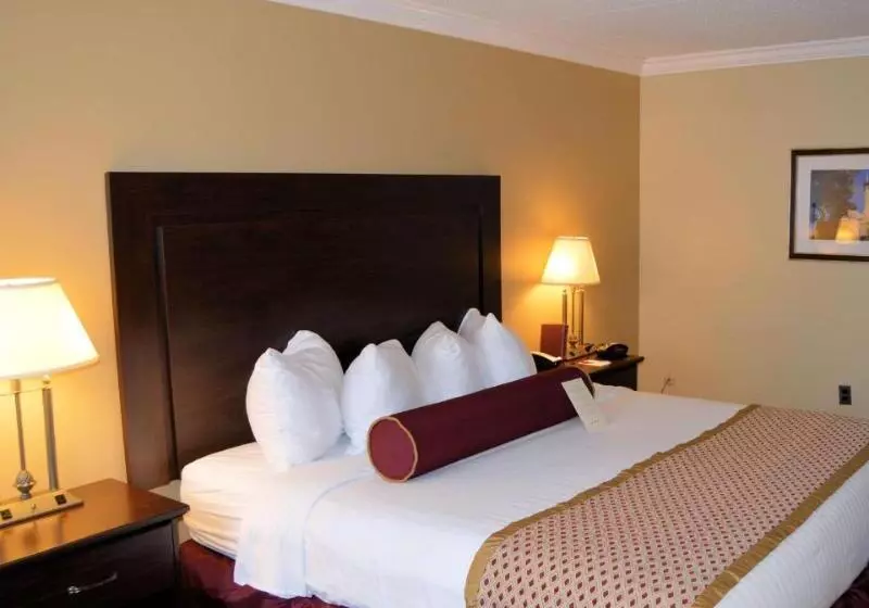 キングサイズベッドのスタンダードルーム, Best Western Plus Wilkes Barre Center City