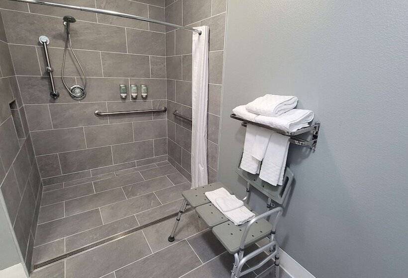 جناح لذوى الاحتياجات الخاصة, Best Western Pocatello Inn