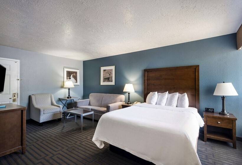 Люкс Адаптированный для Инвалидов, Best Western Pocatello Inn
