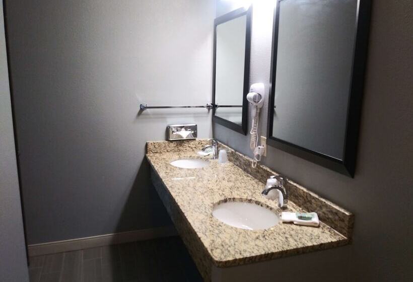 جناح لذوى الاحتياجات الخاصة, Best Western Pocatello Inn