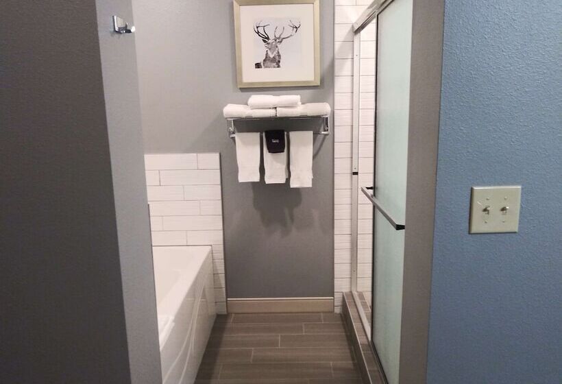 جناح لذوى الاحتياجات الخاصة, Best Western Pocatello Inn