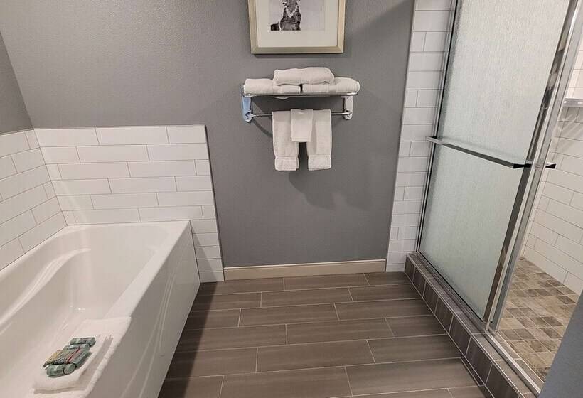 جناح لذوى الاحتياجات الخاصة, Best Western Pocatello Inn