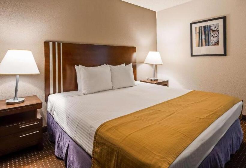 带大床的标准间, Best Western Yacht Harbor