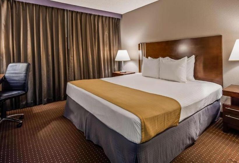 带大床的标准间, Best Western Yacht Harbor