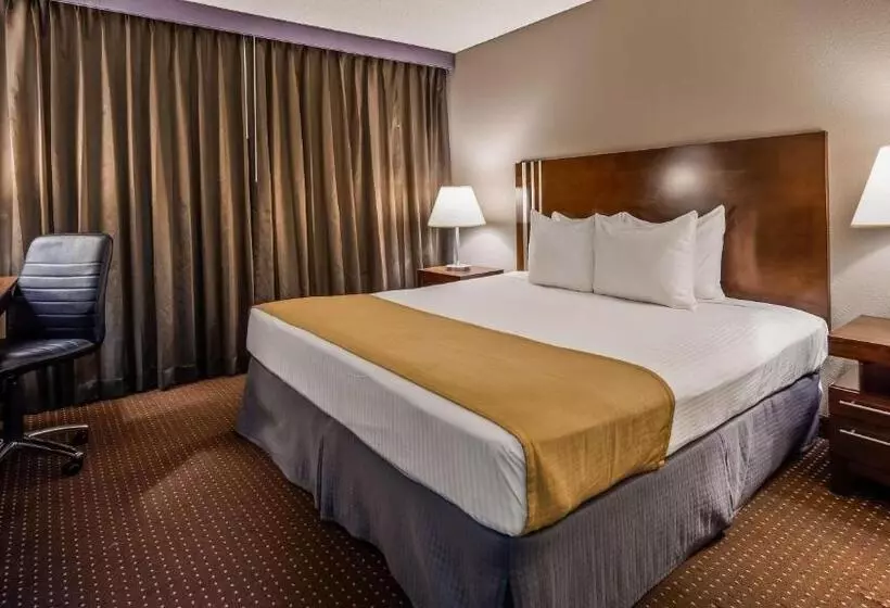 اتاق استاندارد با تخت بزرگ برای معلولان, Best Western Yacht Harbor