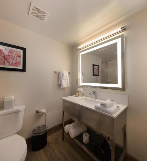 غرفة قياسية, Holiday Inn Brookfield   Milwaukee, An Ihg