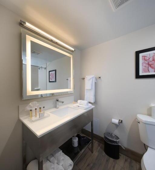 غرفة قياسية سرير مزدوج, Holiday Inn Brookfield   Milwaukee, An Ihg