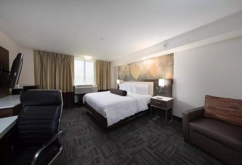 ダブルベッドスタンダードルーム, Holiday Inn Brookfield   Milwaukee, An Ihg