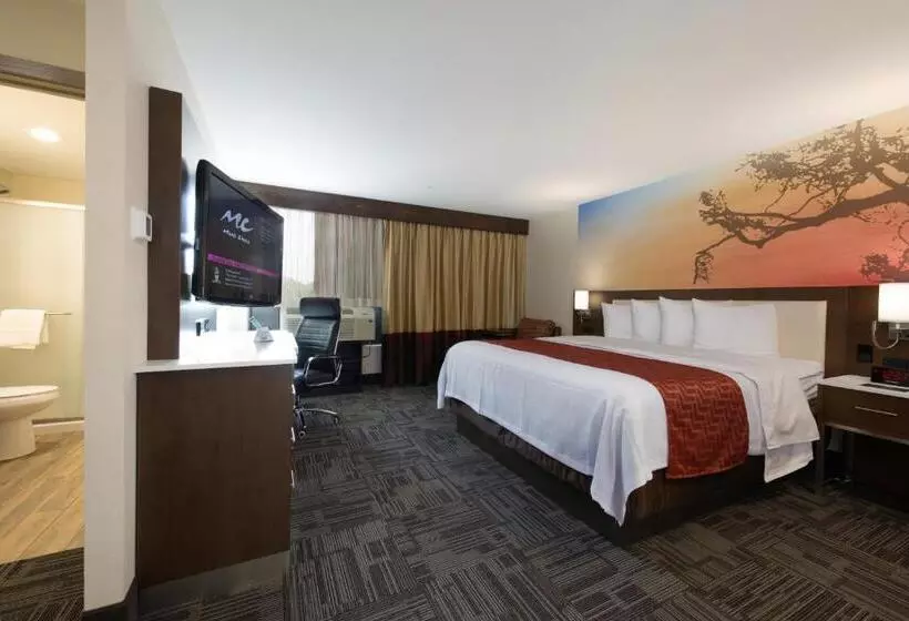 ダブルベッドスタンダードルーム, Holiday Inn Brookfield   Milwaukee, An Ihg
