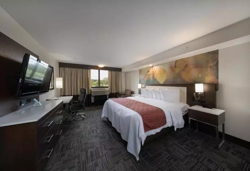 キングサイズベッドのスタンダードルーム, Holiday Inn Brookfield   Milwaukee, An Ihg