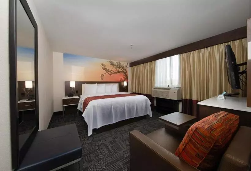 キングサイズベッドのスタンダードルーム, Holiday Inn Brookfield   Milwaukee, An Ihg