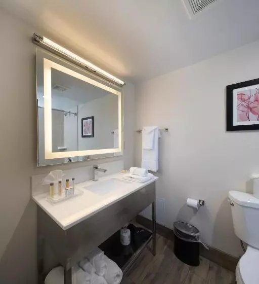 プールビュースタンダードルーム, Holiday Inn Brookfield   Milwaukee, An Ihg