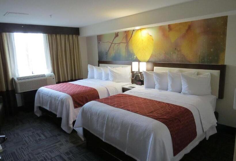 스탠다드 룸 풀장 전망, Holiday Inn Brookfield   Milwaukee, An Ihg