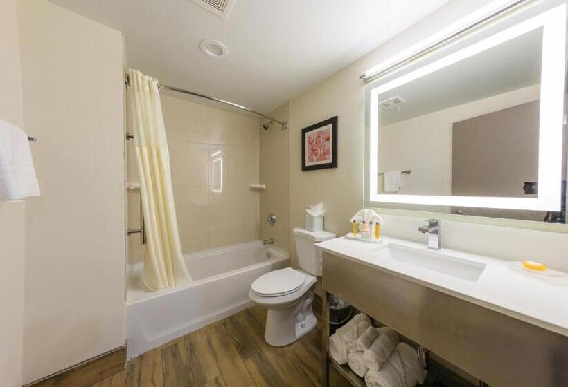 Номер Стандарт Кровать Кинг Адаптированный для Инвалидов, Holiday Inn Brookfield   Milwaukee, An Ihg