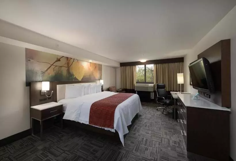 身障者適用キングサイズベッドルーム, Holiday Inn Brookfield   Milwaukee, An Ihg