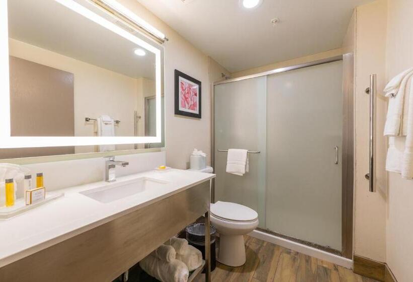 Люкс Кровать Кинг, Holiday Inn Brookfield   Milwaukee, An Ihg