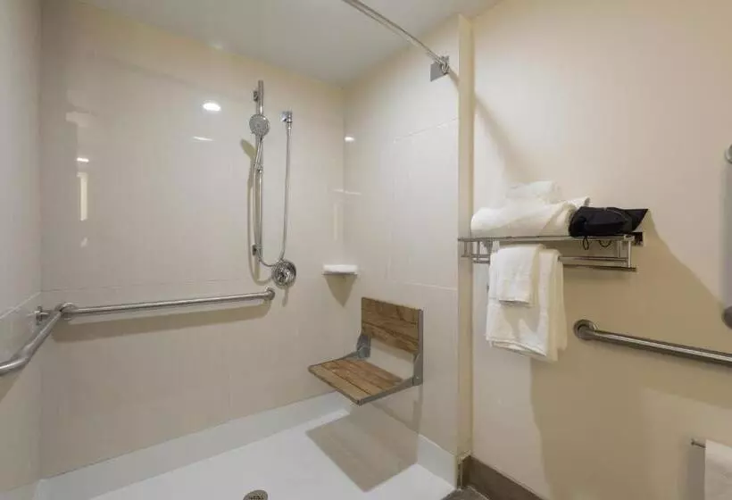身障者適用キングサイズベッドルーム, Holiday Inn Brookfield   Milwaukee, An Ihg
